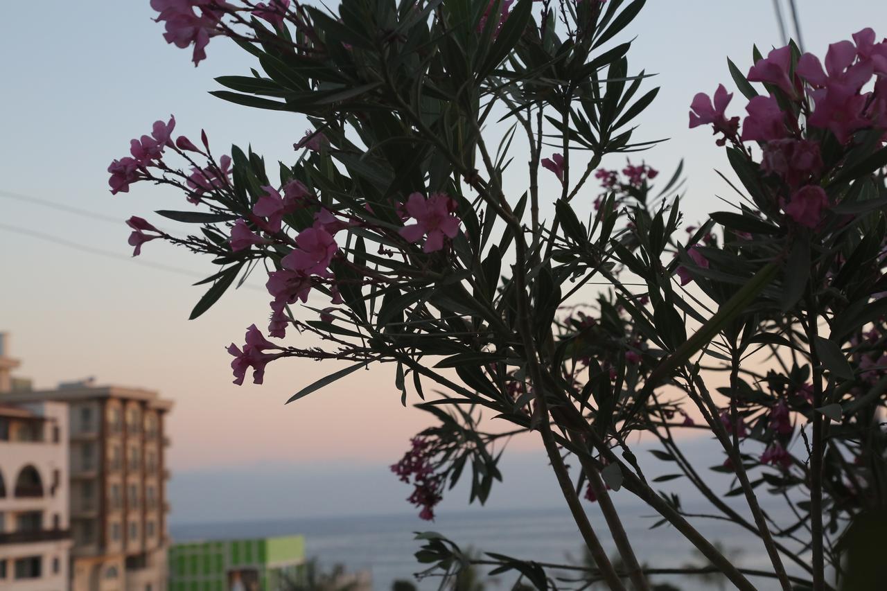 Kasgar Court Hotel Agia Varvara Exterior photo